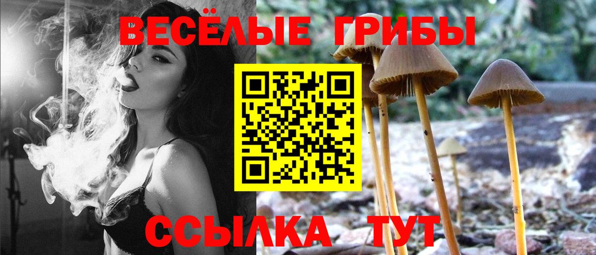 Надым  Псилоцибиновые грибы Cubensis  Вход с VPN 