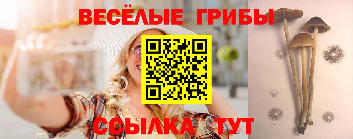 Псилоцибиновые грибы Magic Shrooms Надым